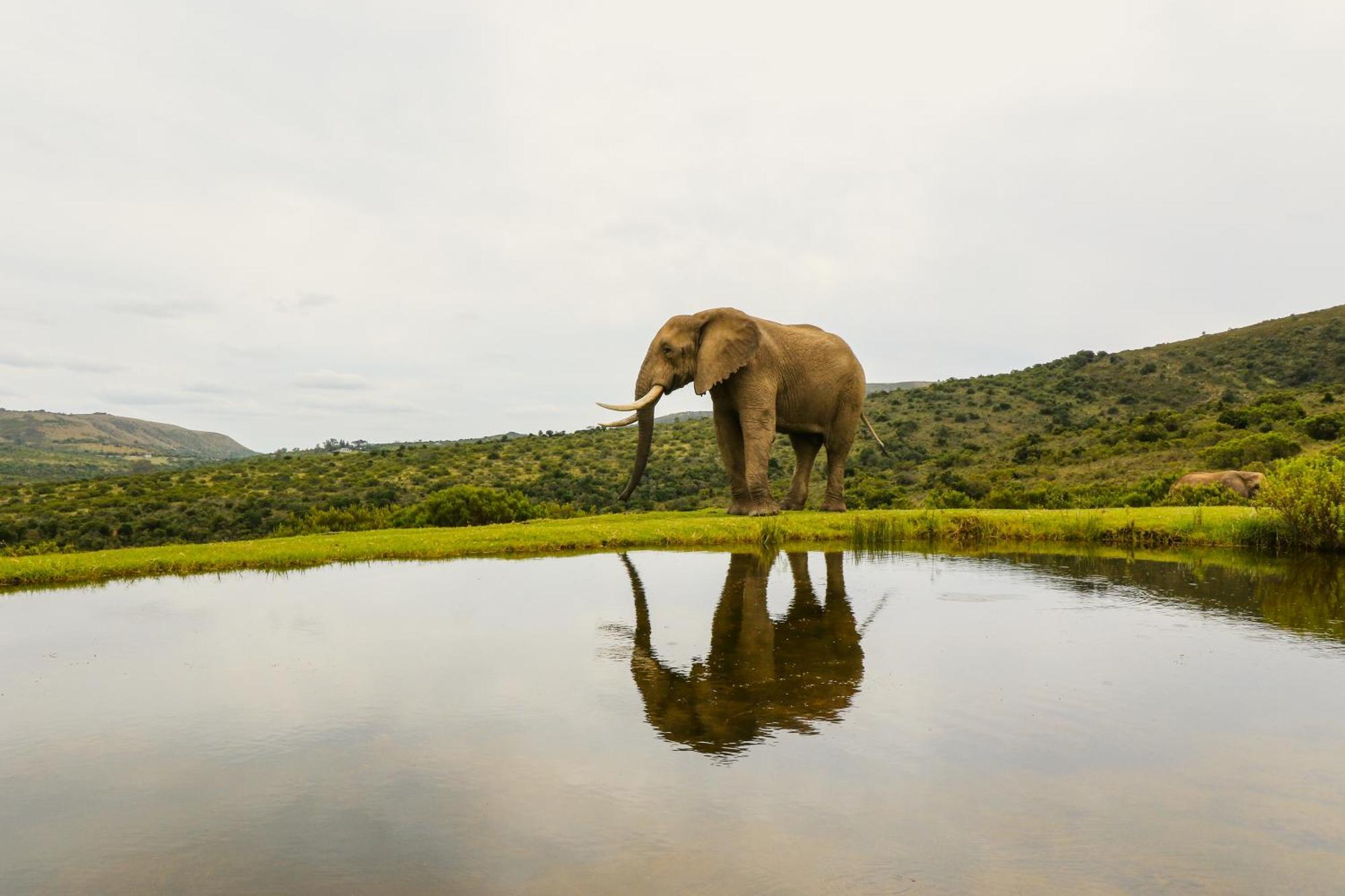 Barefoot Addo Elephant Lodge 外观 照片